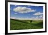 Rolling Wheat Fields with Lone Tree-Terry Eggers-Framed Photographic Print