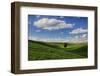 Rolling Wheat Fields with Lone Tree-Terry Eggers-Framed Photographic Print