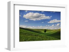 Rolling Wheat Fields with Lone Tree-Terry Eggers-Framed Photographic Print