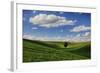 Rolling Wheat Fields with Lone Tree-Terry Eggers-Framed Photographic Print