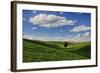 Rolling Wheat Fields with Lone Tree-Terry Eggers-Framed Photographic Print