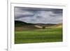 Rolling Wheat Fields with Lone Tree-Terry Eggers-Framed Photographic Print