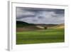 Rolling Wheat Fields with Lone Tree-Terry Eggers-Framed Photographic Print