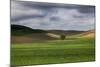 Rolling Wheat Fields with Lone Tree-Terry Eggers-Mounted Photographic Print