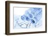 Rolls of Architecture Blueprints and House Plans--Vladimir--Framed Photographic Print