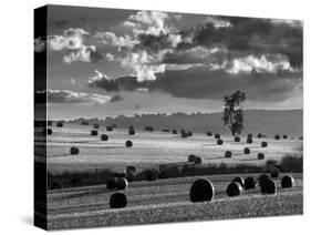 Rolls of Hay-Martin Henson-Stretched Canvas