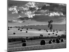 Rolls of Hay-Martin Henson-Mounted Photographic Print