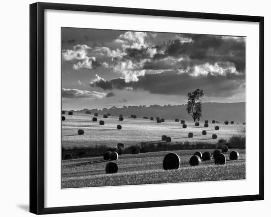 Rolls of Hay-Martin Henson-Framed Photographic Print