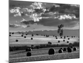 Rolls of Hay-Martin Henson-Mounted Photographic Print