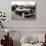 Rolls Royce-Bill Bachmann-Photographic Print displayed on a wall