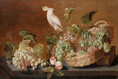 Still Life with Parrot, c.1640-Roloef Koets-Stretched Canvas