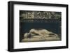 'Roma - Basilica of St. Caecilia. - Statue of the Saint by Maderno', 1910-Carlo Maderno-Framed Photographic Print