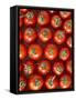 Roma Tomatos-Martina Schindler-Framed Stretched Canvas