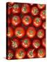 Roma Tomatos-Martina Schindler-Stretched Canvas