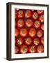 Roma Tomatos-Martina Schindler-Framed Photographic Print