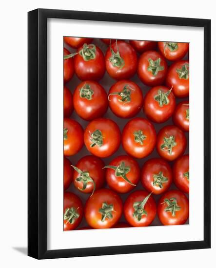 Roma Tomatos-Martina Schindler-Framed Photographic Print