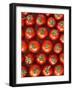 Roma Tomatos-Martina Schindler-Framed Photographic Print