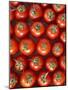 Roma Tomatos-Martina Schindler-Mounted Photographic Print