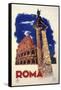 Roma-Vintage Apple Collection-Framed Stretched Canvas