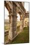 Roman Amphitheatre at Sunset, Pula, Istria, Croatia, Europe-Markus Lange-Mounted Photographic Print