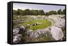 Roman Amphitheatre at Syracuse (Siracusa), UNESCO World Heritage Site, Sicily, Italy, Europe-Matthew Williams-Ellis-Framed Stretched Canvas