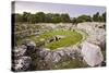 Roman Amphitheatre at Syracuse (Siracusa), UNESCO World Heritage Site, Sicily, Italy, Europe-Matthew Williams-Ellis-Stretched Canvas