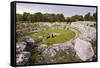 Roman Amphitheatre at Syracuse (Siracusa), UNESCO World Heritage Site, Sicily, Italy, Europe-Matthew Williams-Ellis-Framed Stretched Canvas