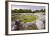 Roman Amphitheatre at Syracuse (Siracusa), UNESCO World Heritage Site, Sicily, Italy, Europe-Matthew Williams-Ellis-Framed Photographic Print