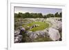 Roman Amphitheatre at Syracuse (Siracusa), UNESCO World Heritage Site, Sicily, Italy, Europe-Matthew Williams-Ellis-Framed Photographic Print