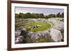 Roman Amphitheatre at Syracuse (Siracusa), UNESCO World Heritage Site, Sicily, Italy, Europe-Matthew Williams-Ellis-Framed Photographic Print