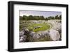 Roman Amphitheatre at Syracuse (Siracusa), UNESCO World Heritage Site, Sicily, Italy, Europe-Matthew Williams-Ellis-Framed Photographic Print