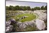 Roman Amphitheatre at Syracuse (Siracusa), UNESCO World Heritage Site, Sicily, Italy, Europe-Matthew Williams-Ellis-Mounted Photographic Print