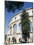 Roman Amphitheatre Dating from 1st Century Bc, with 22000 Capacity, Pula, Istria, Croatia-Ken Gillham-Mounted Photographic Print