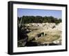 Roman Amphitheatre, Syracuse, Sicily, Italy-Michael Jenner-Framed Photographic Print