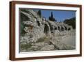 Brown Frame