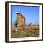 Roman Aqueduct Near the Appian Way, 4th Century Bc-CM Dixon-Framed Photographic Print