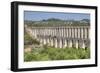 Roman Aqueduct, Pegoes, Portugal, Europe-Richard Maschmeyer-Framed Photographic Print