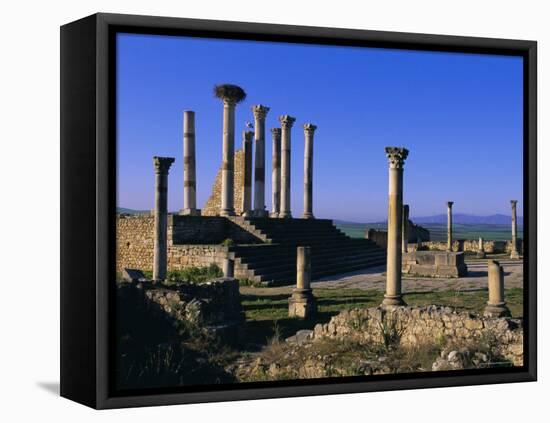 Roman Archaeological Site, Volubilis, Meknes Region, Morocco, North Africa, Africa-Bruno Morandi-Framed Stretched Canvas