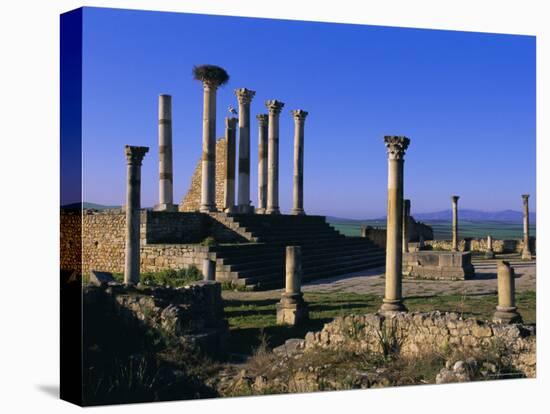 Roman Archaeological Site, Volubilis, Meknes Region, Morocco, North Africa, Africa-Bruno Morandi-Stretched Canvas