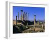 Roman Archaeological Site, Volubilis, Meknes Region, Morocco, North Africa, Africa-Bruno Morandi-Framed Photographic Print