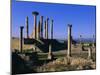 Roman Archaeological Site, Volubilis, Meknes Region, Morocco, North Africa, Africa-Bruno Morandi-Mounted Photographic Print