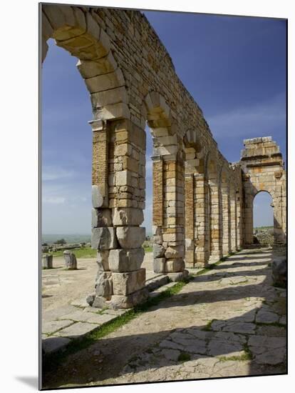 Roman Archaeological Site-Simon Montgomery-Mounted Photographic Print