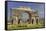 Roman Archaeological Site-Simon Montgomery-Framed Stretched Canvas