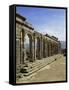 Roman Archaeological Site-Simon Montgomery-Framed Stretched Canvas