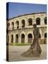 Roman Arena, Nimes, Languedoc, France, Europe-Roy Rainford-Stretched Canvas