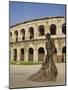 Roman Arena, Nimes, Languedoc, France, Europe-Roy Rainford-Mounted Photographic Print