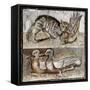 Roman Art : a Wild Cat Catching a Partridge and Two Ducks-null-Framed Stretched Canvas