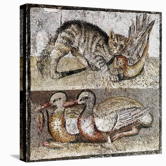 Roman Art : a Wild Cat Catching a Partridge and Two Ducks-null-Stretched Canvas