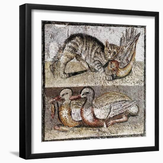 Roman Art : a Wild Cat Catching a Partridge and Two Ducks-null-Framed Photographic Print