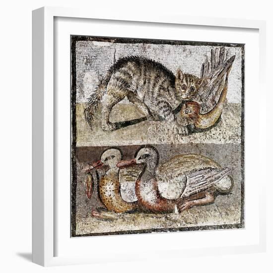 Roman Art : a Wild Cat Catching a Partridge and Two Ducks-null-Framed Photographic Print